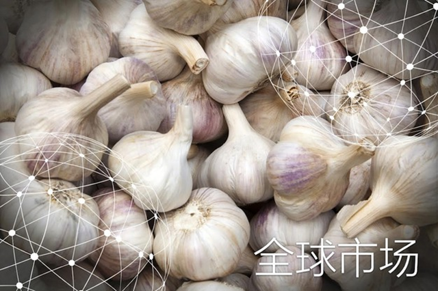 圖片1